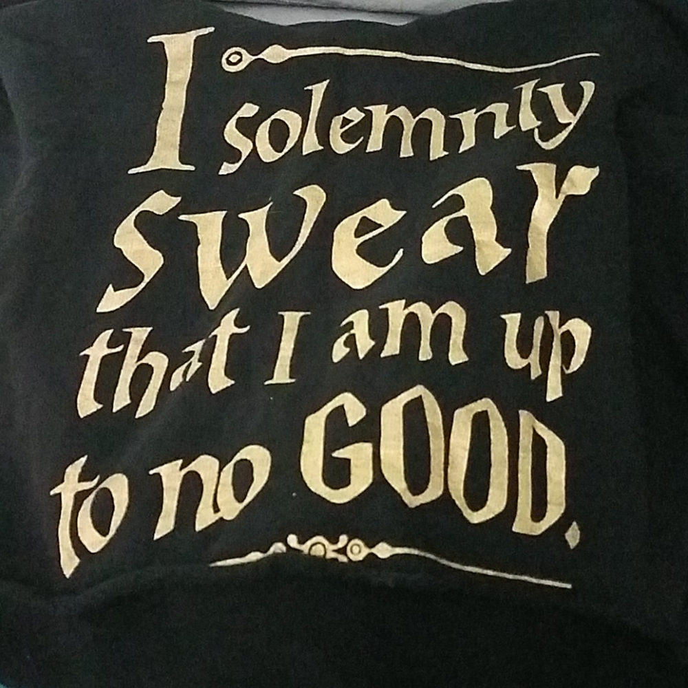 Harry Potter hooded cropped sweater